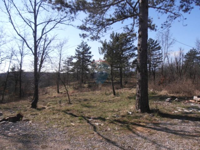 Terrain À vendre - Primorsko-goranska Klana - foto 2/10