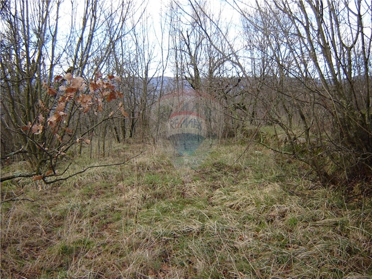 Zemljište Na prodaju - PRIMORSKO-GORANSKA  VIŠKOVO 