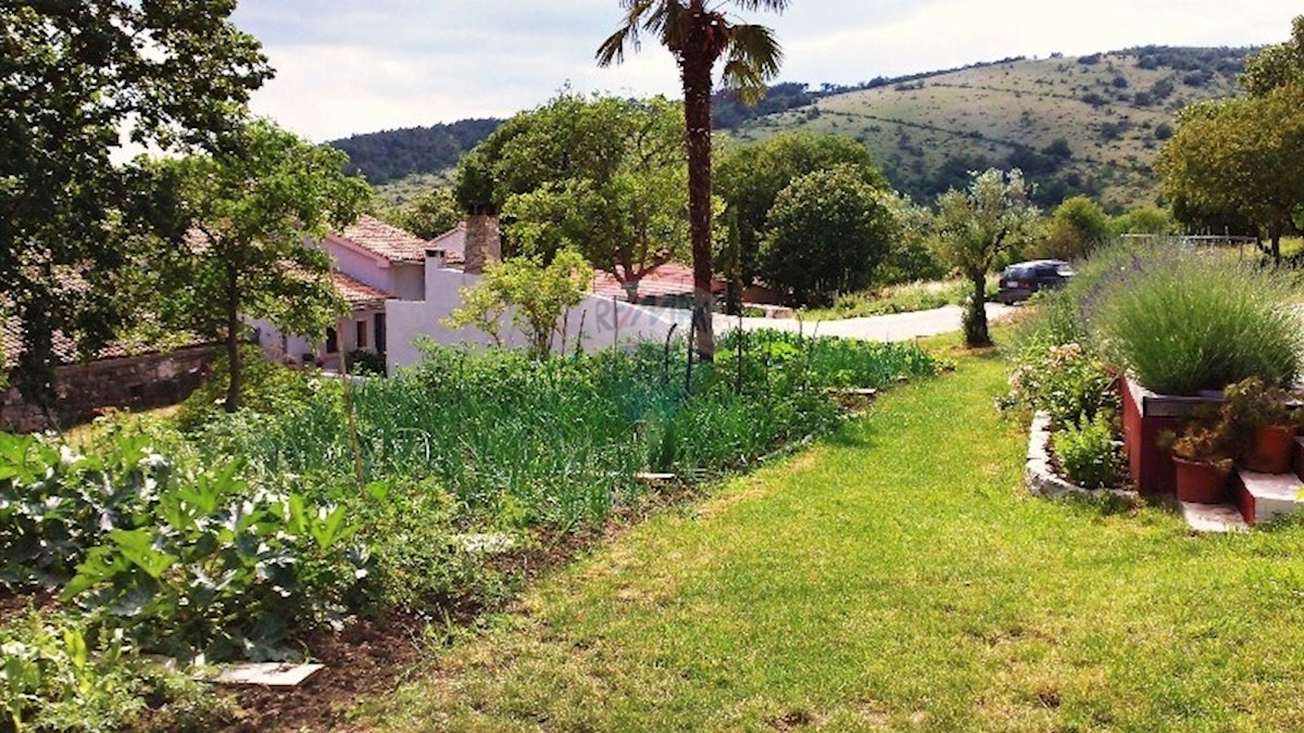 Maison À vendre - ISTARSKA  BUZET 