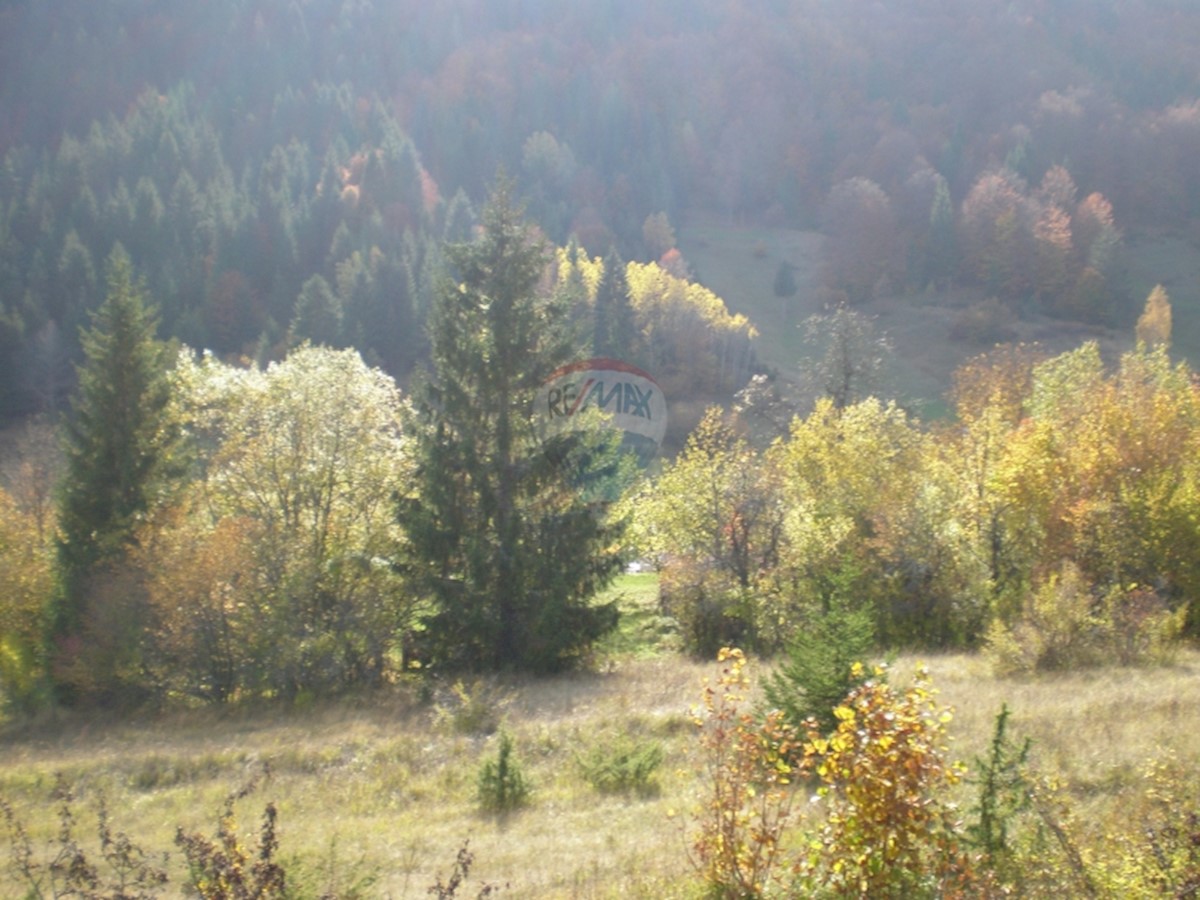 Land For sale - PRIMORSKO-GORANSKA  ČABAR 