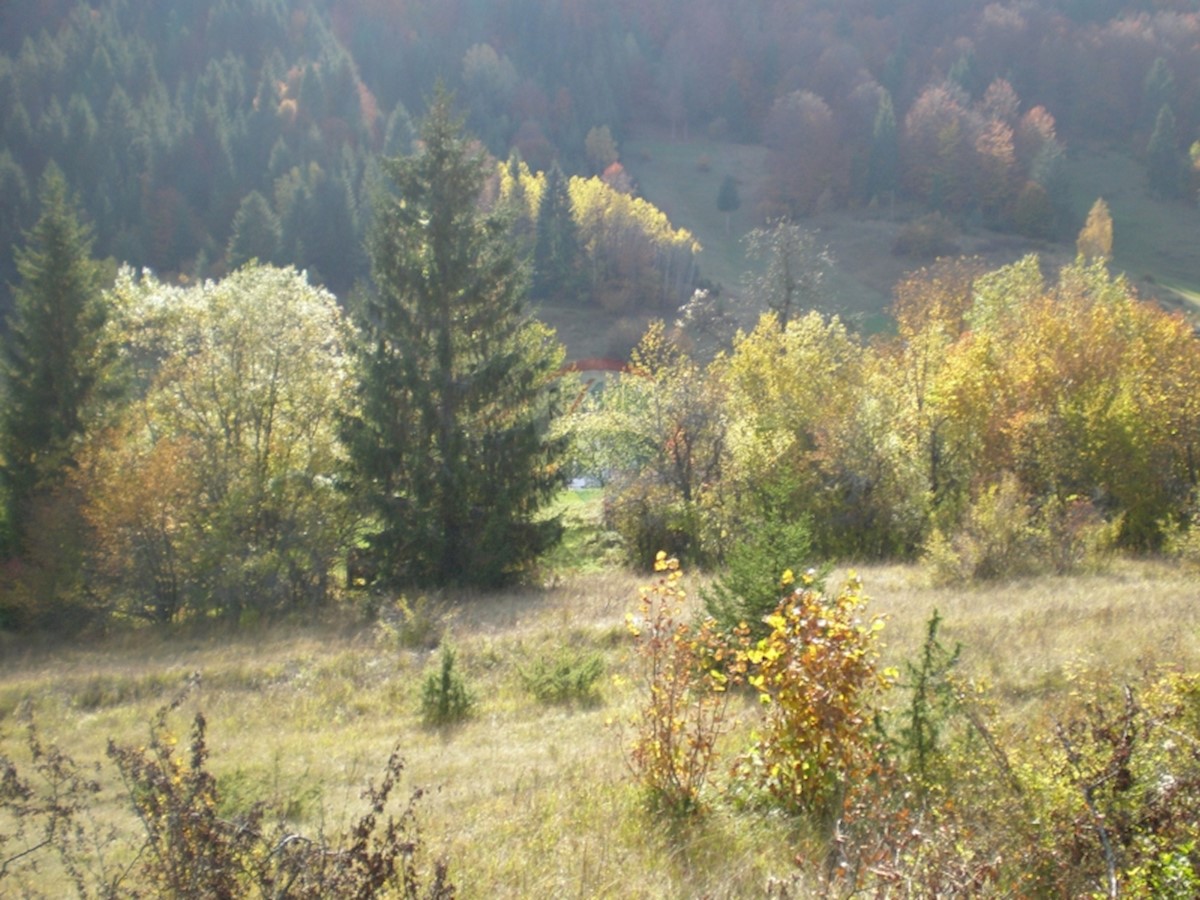 Parcela Naprodaj - PRIMORSKO-GORANSKA  Čabar