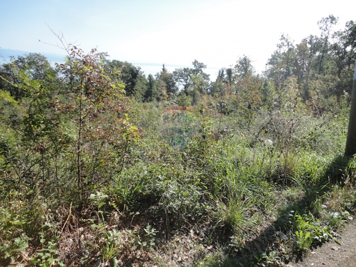 Land For sale - Primorsko-goranska Matulji - foto 1/2
