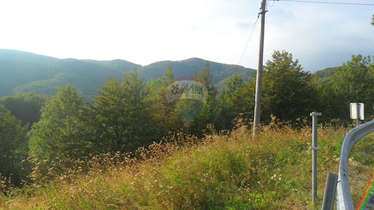 Land For sale - PRIMORSKO-GORANSKA  JELENJE 