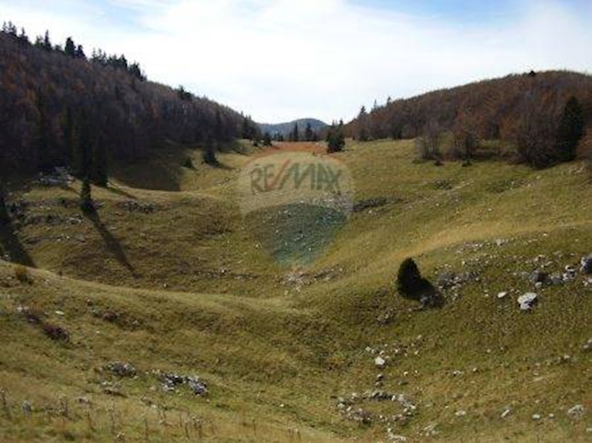 Zemljište Na prodaju - KARLOVAČKA  OGULIN 