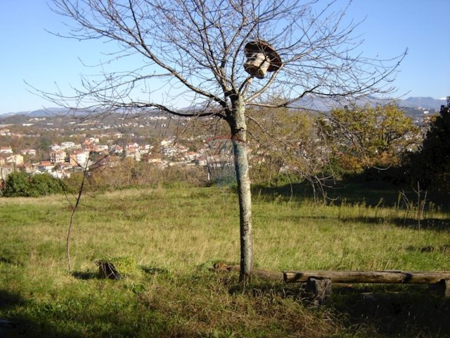 Pozemek na prodej 2496 m² – Mihotići