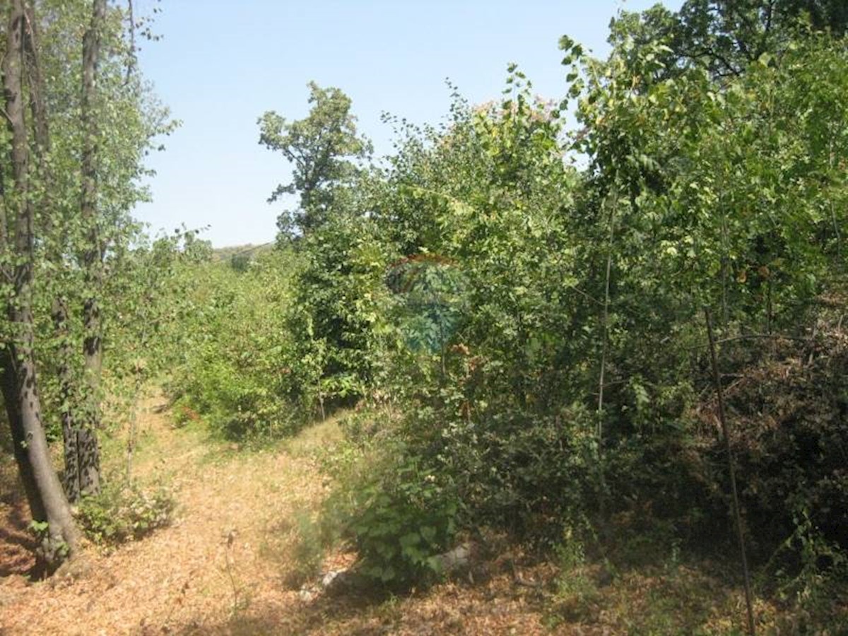 Land For sale - PRIMORSKO-GORANSKA  ČAVLE 