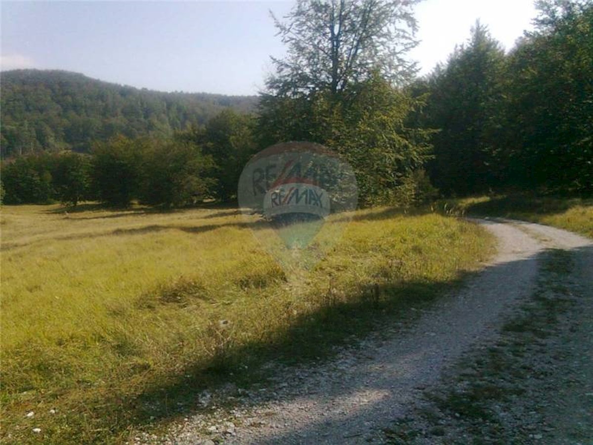 Land For sale - PRIMORSKO-GORANSKA  JELENJE 