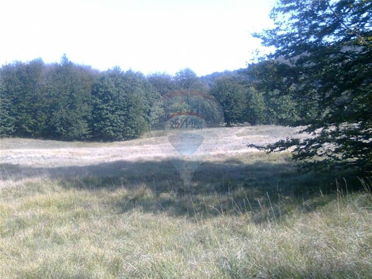 Land For sale - PRIMORSKO-GORANSKA  JELENJE 