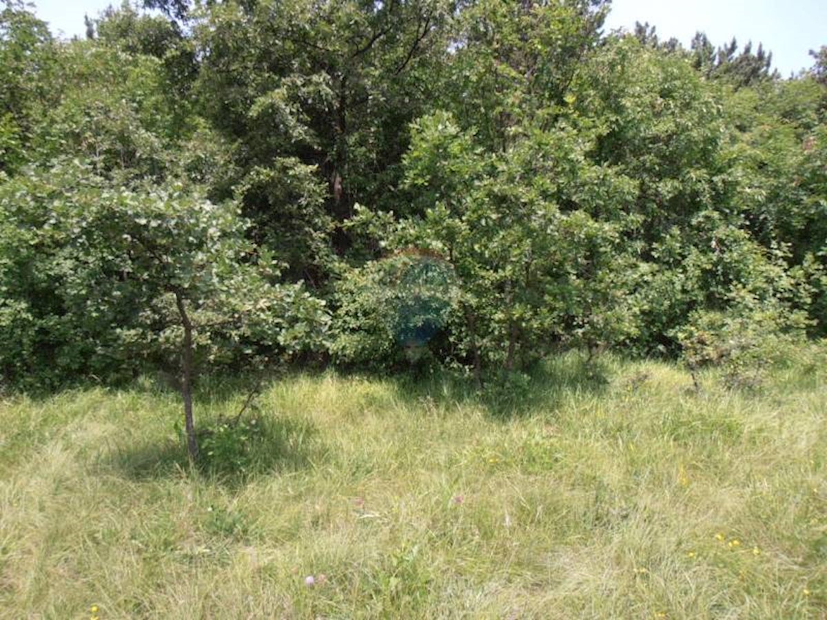 Land For sale - PRIMORSKO-GORANSKA  VIŠKOVO 