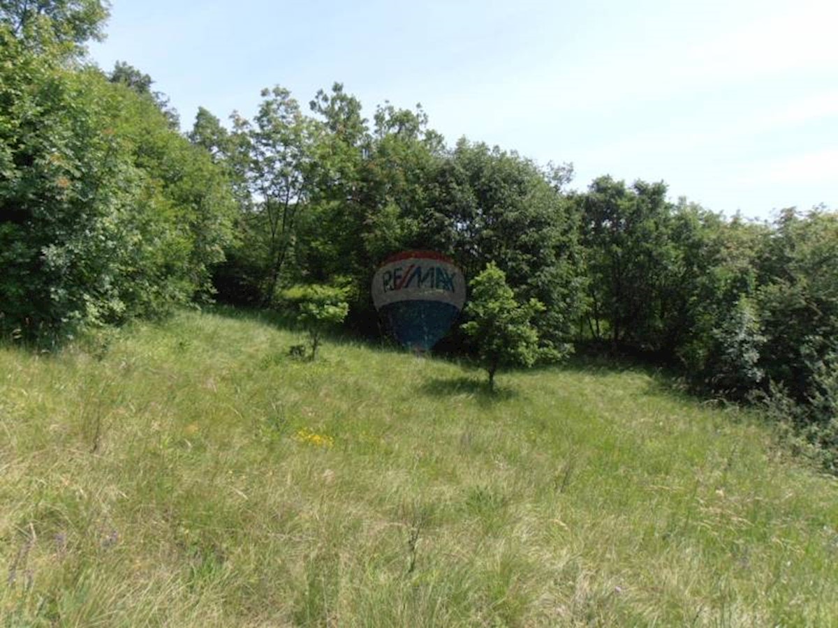 Land For sale - PRIMORSKO-GORANSKA  VIŠKOVO 