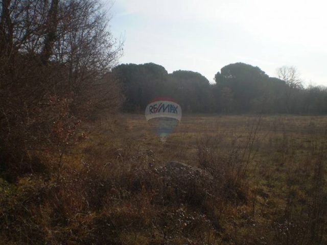 Land for sale 50000 m² – Tuk Mrkopaljski