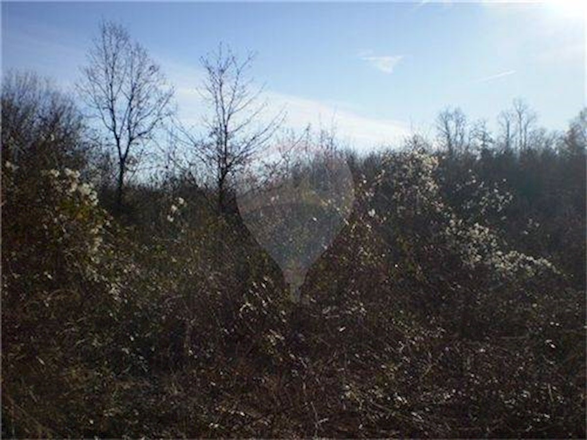 Land For sale - Primorsko-goranska Kastav - foto 2/5