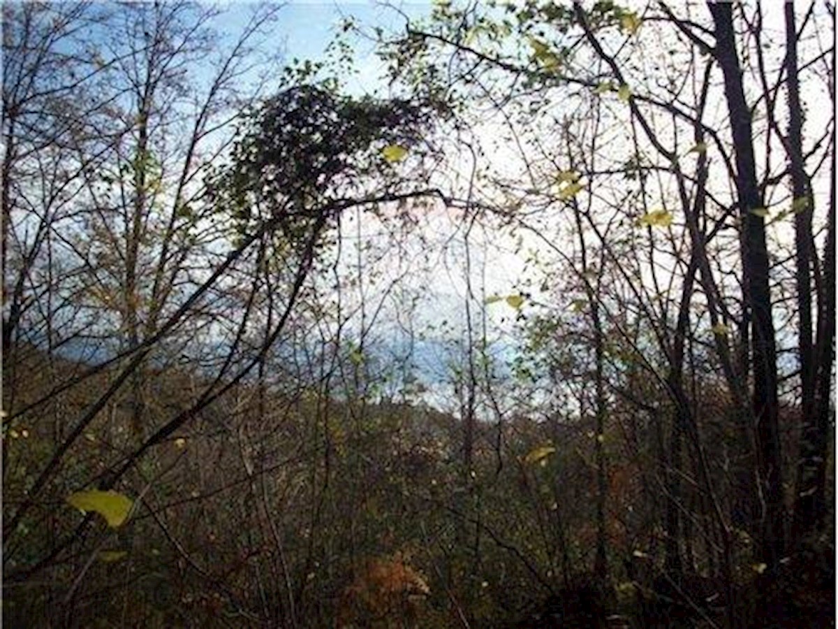Land For sale - Primorsko-goranska Opatija - foto 1/2