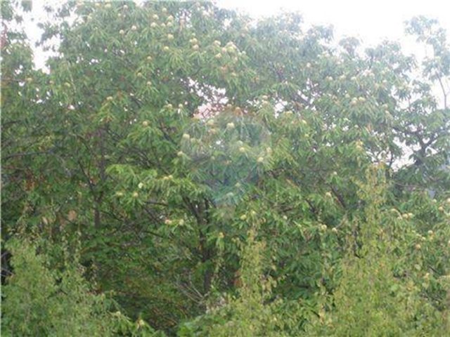 Land For sale - Primorsko-goranska Opatija - foto 3/4