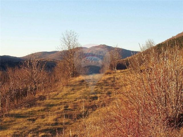 Pozemok Na predaj - Istarska Žminj - foto 3/4