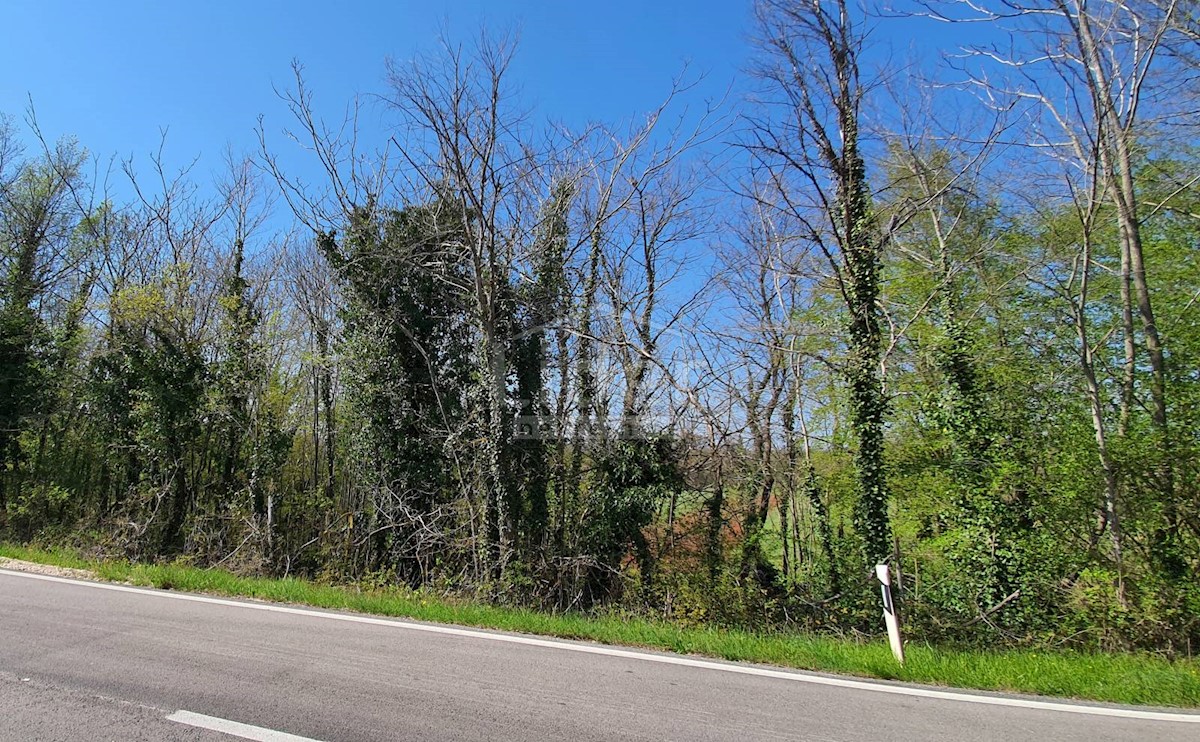 Land For sale - ISTARSKA  SVETI LOVREČ 