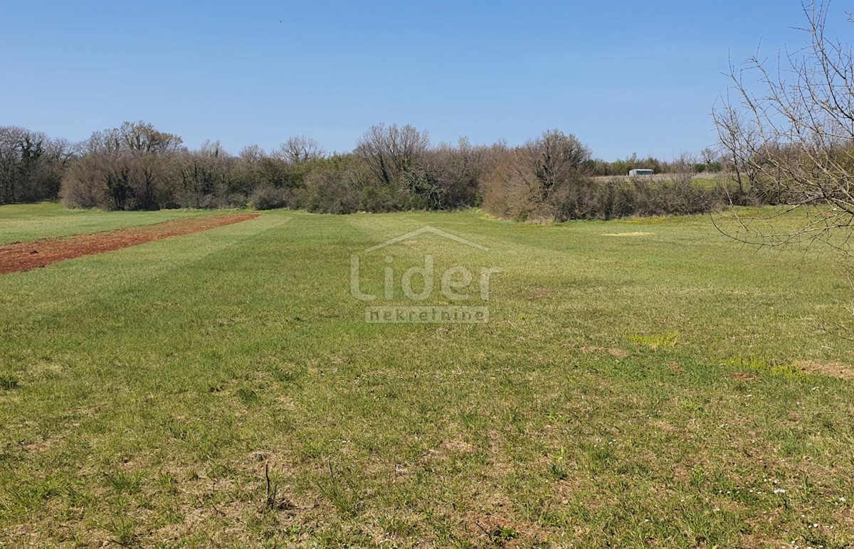 Land For sale - ISTARSKA  SVETI LOVREČ 