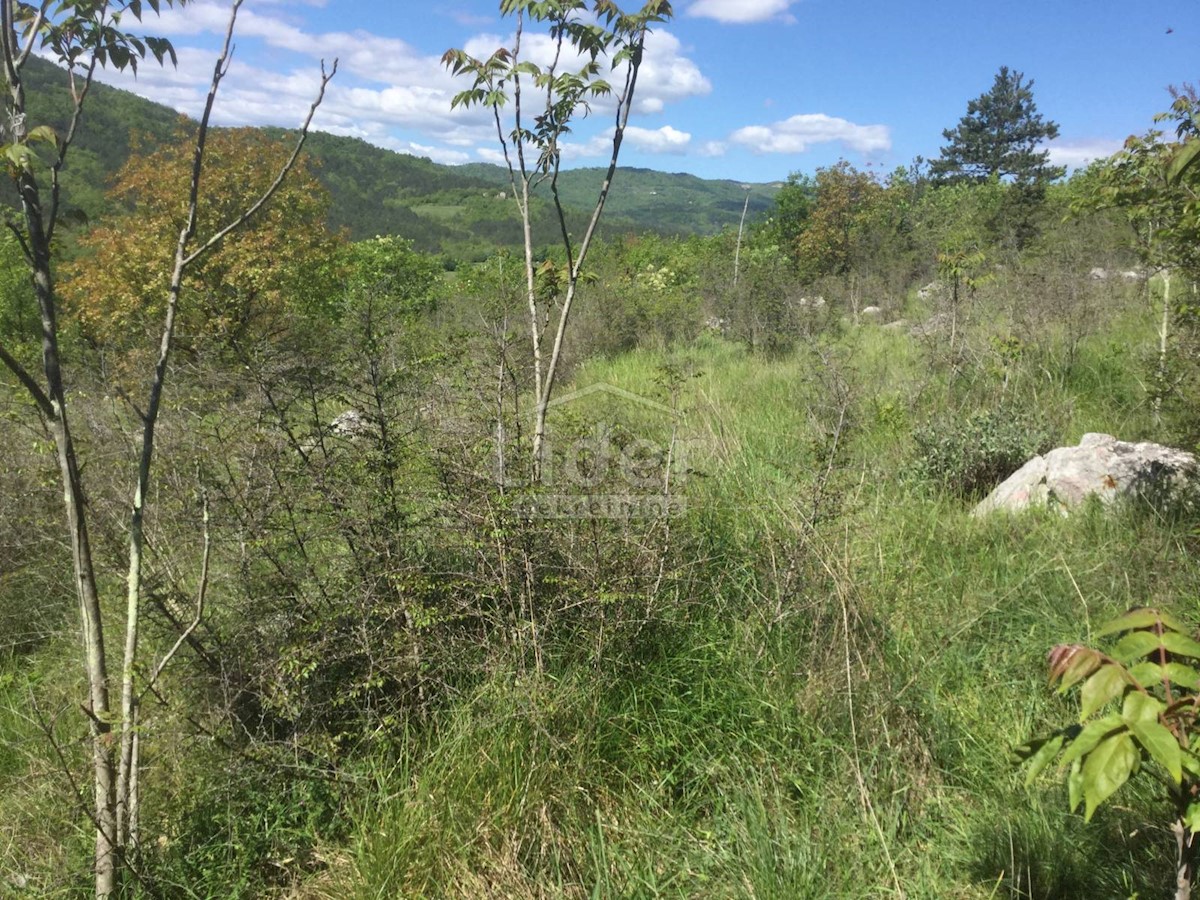 Land For sale - ISTARSKA  KRŠAN 