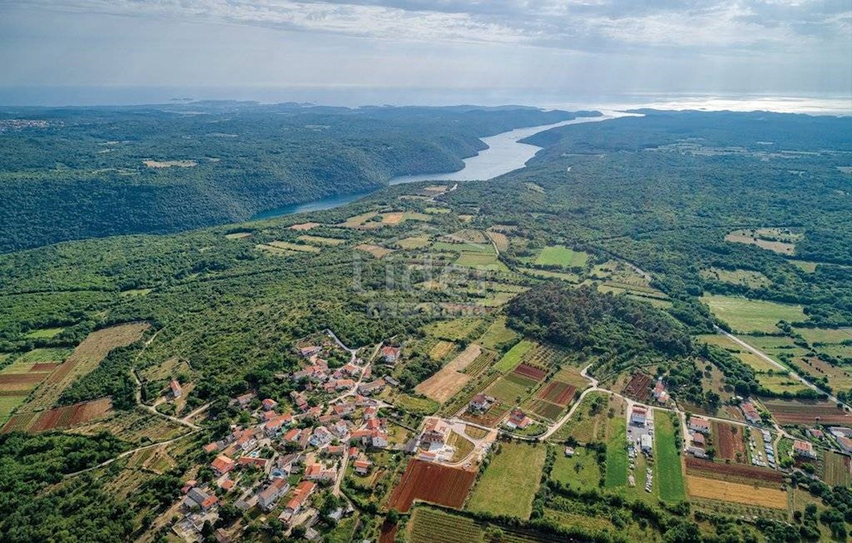 Land For sale - ISTARSKA  SVETI LOVREČ 