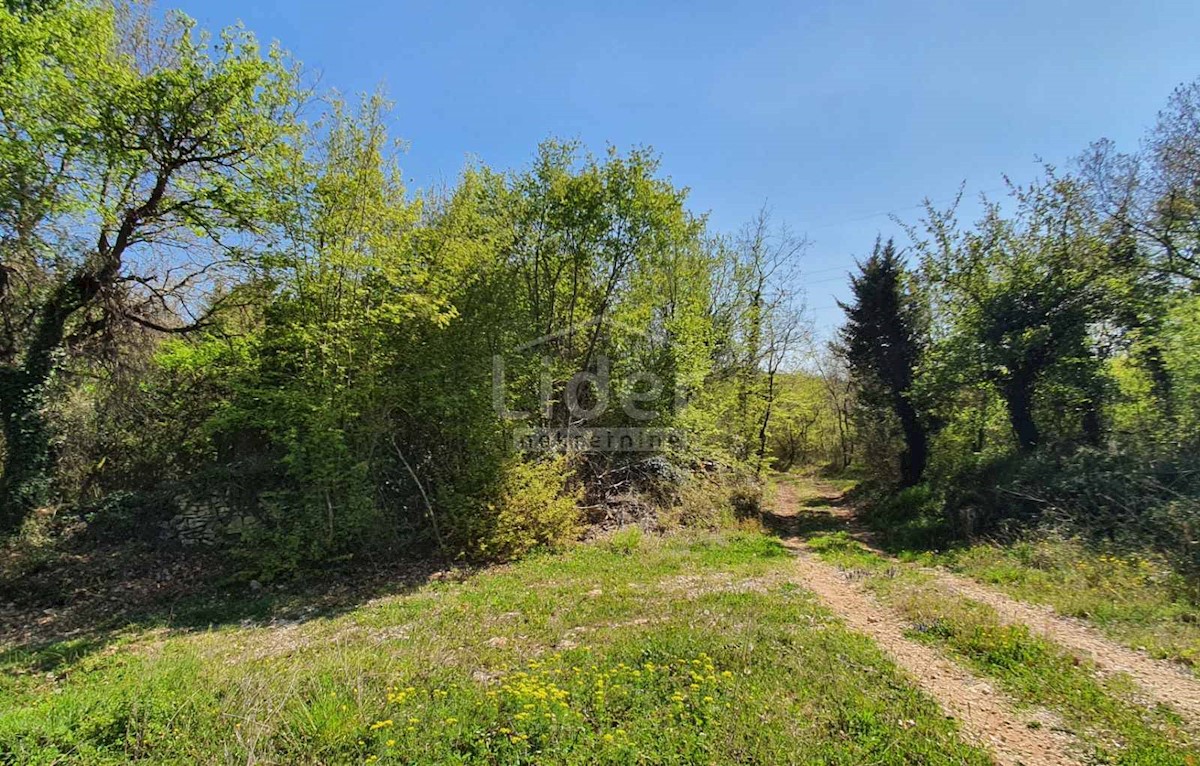 Land For sale - ISTARSKA  SVETI LOVREČ 