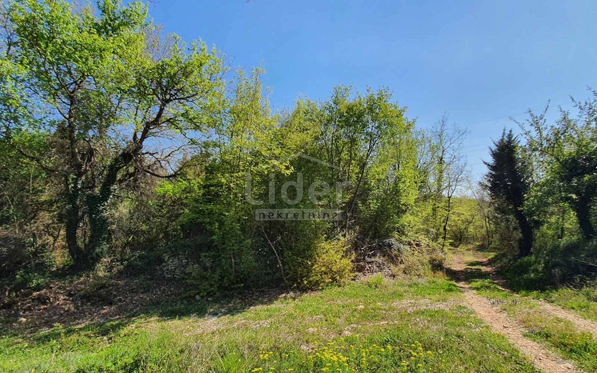 Land For sale - ISTARSKA  SVETI LOVREČ 