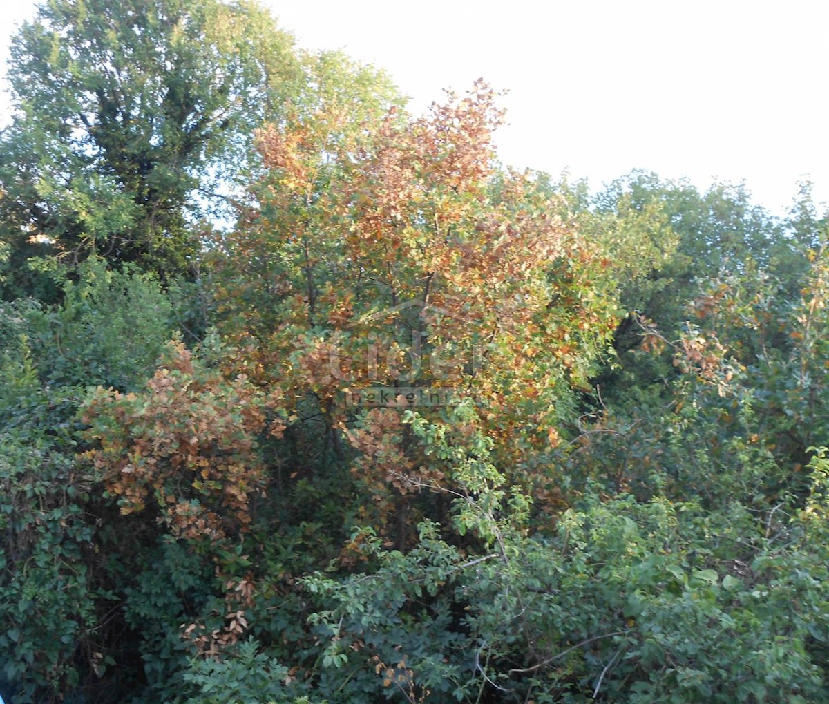 Działka Na sprzedaż - PRIMORSKO-GORANSKA  KOSTRENA 