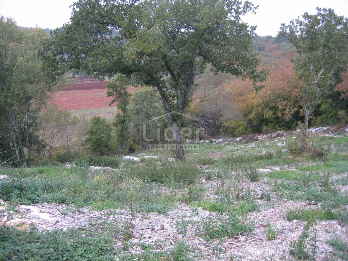 Terreno In vendita - ISTARSKA  KANFANAR 