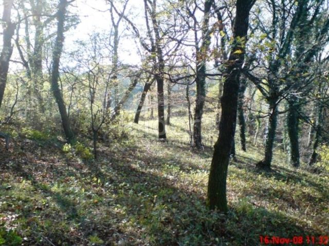 Pozemek na prodej 1724 m² – Cernik