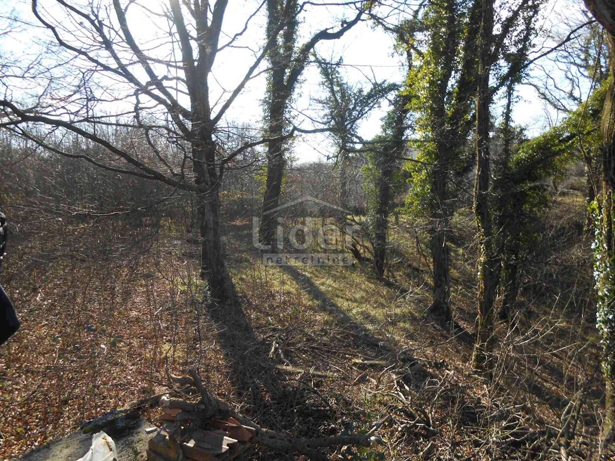 Land For sale - PRIMORSKO-GORANSKA  ČAVLE 