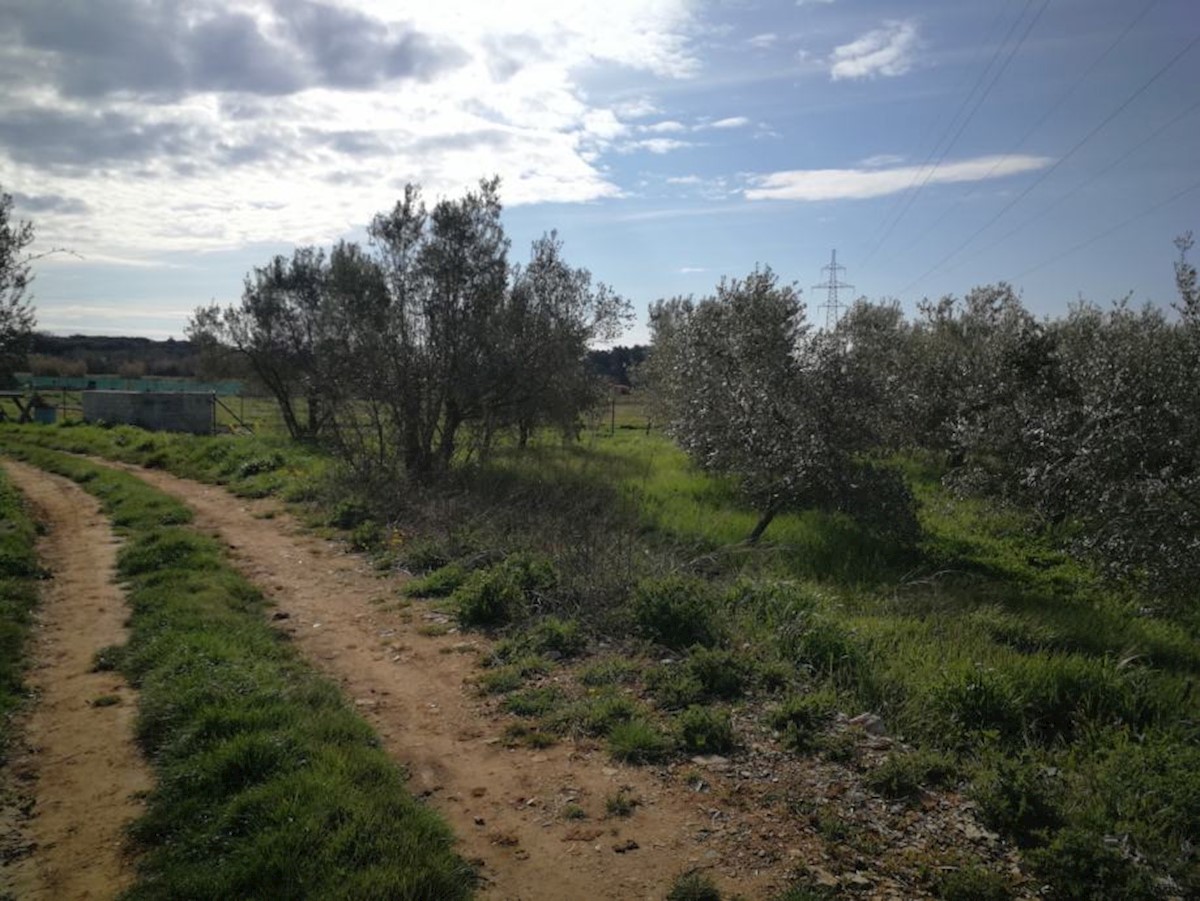 Terreno In vendita - ISTARSKA  PULA 