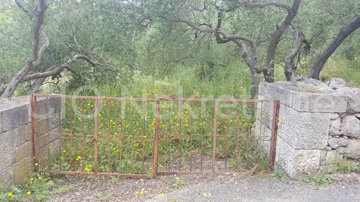 Land For sale - SPLITSKO-DALMATINSKA  BRAČ 