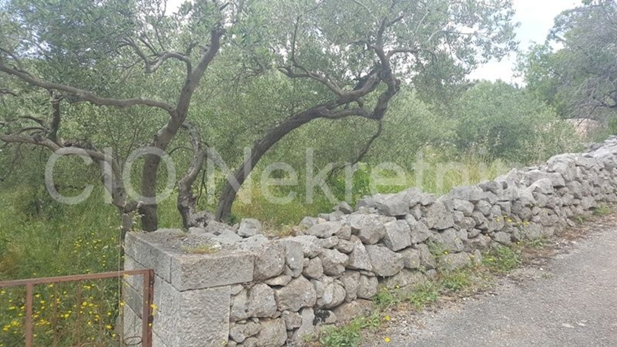 Land For sale - SPLITSKO-DALMATINSKA  BRAČ 