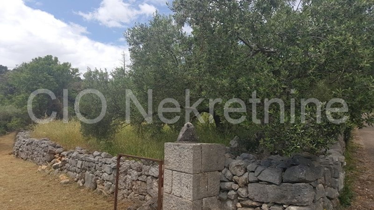 Land For sale - SPLITSKO-DALMATINSKA  BRAČ 