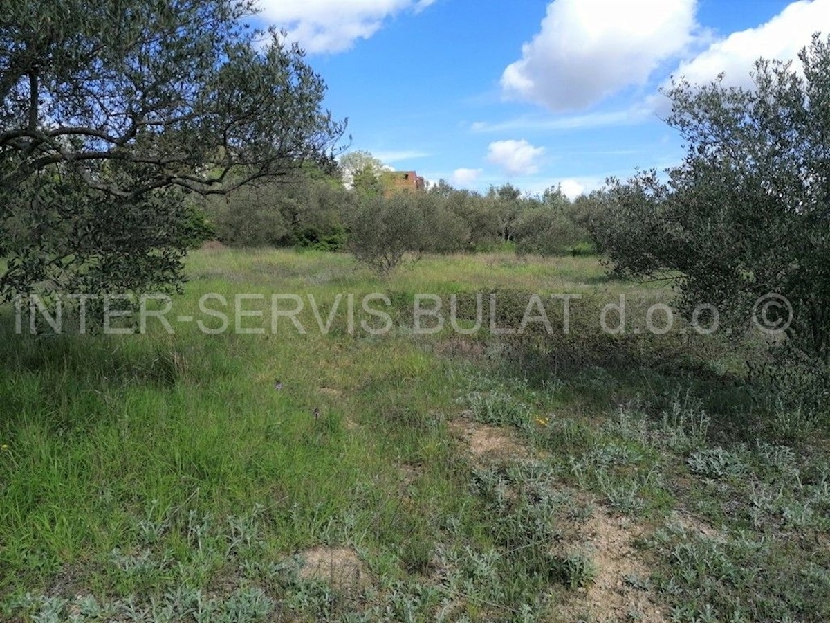 Land For sale - ŠIBENSKO-KNINSKA  SKRADIN 