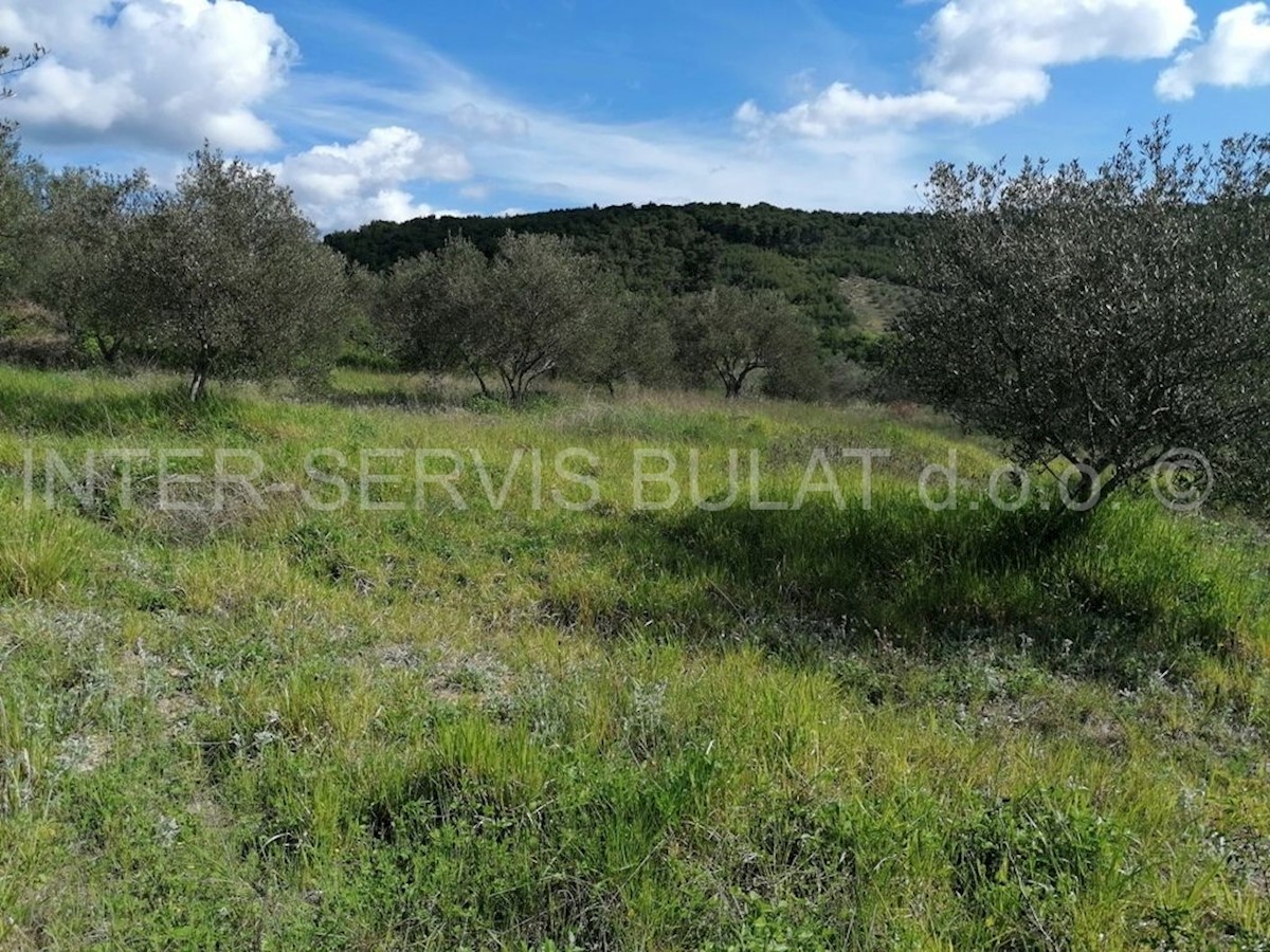 Land For sale - ŠIBENSKO-KNINSKA  SKRADIN 