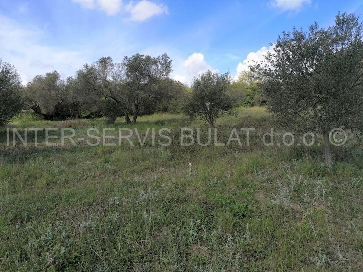 Land For sale - ŠIBENSKO-KNINSKA  SKRADIN 