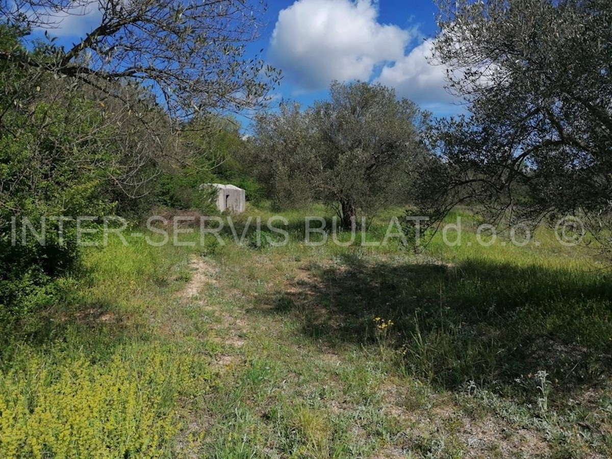 Land For sale - ŠIBENSKO-KNINSKA  SKRADIN 