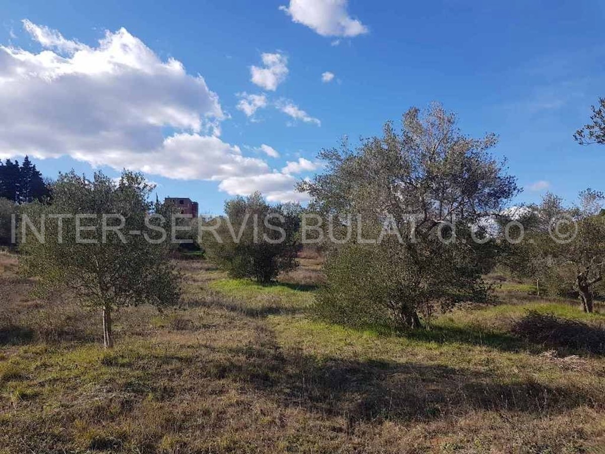 Land For sale - ŠIBENSKO-KNINSKA  SKRADIN 