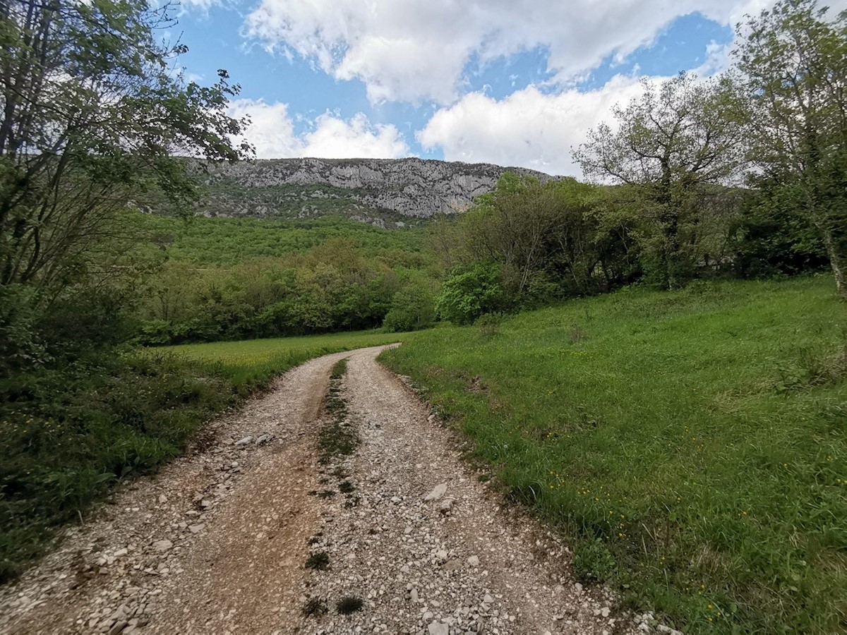 Terreno In vendita - Istarska Kršan - foto 4/8
