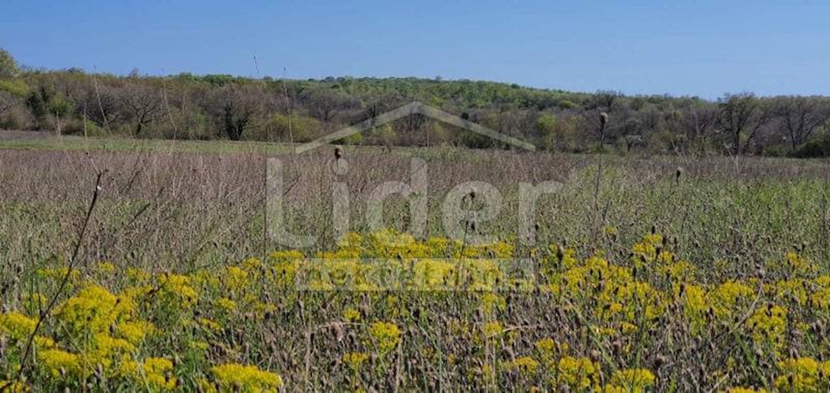 Land For sale - ISTARSKA  SVETVINČENAT 