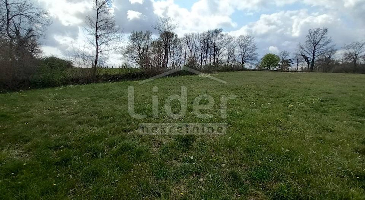 Land For sale - ISTARSKA  SVETVINČENAT 