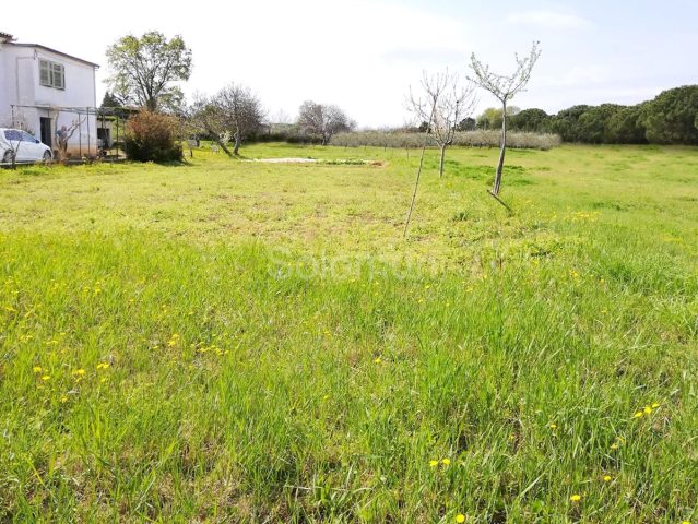 Działka na sprzedaż 4390 m² – Pula