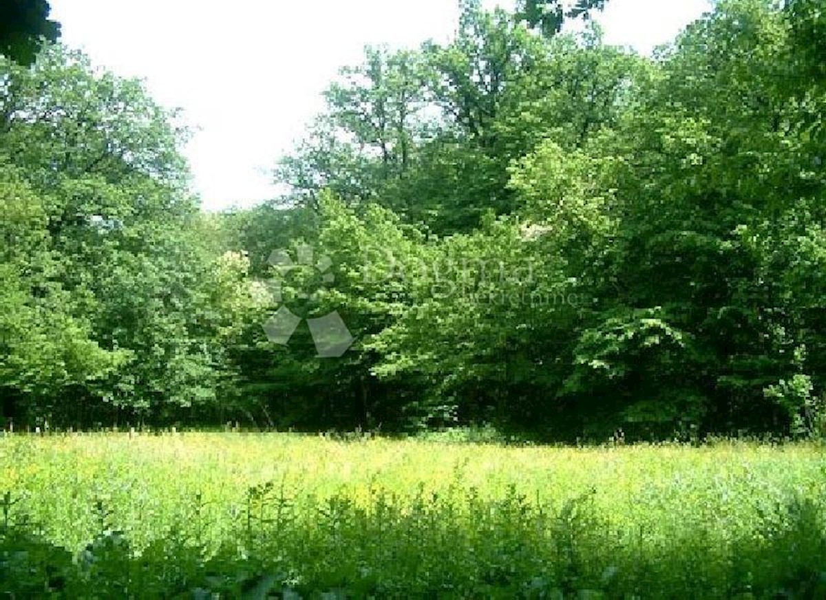 House For sale - Karlovačka Ogulin - foto 1/1