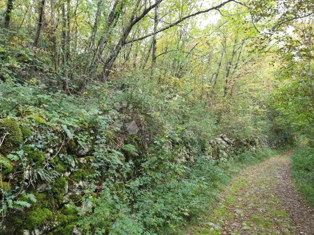 Terrain À vendre - Primorsko-goranska Kastav - foto 2/8