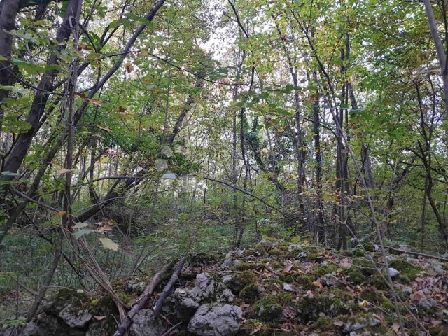 Terrain À vendre - Primorsko-goranska Kastav - foto 5/8