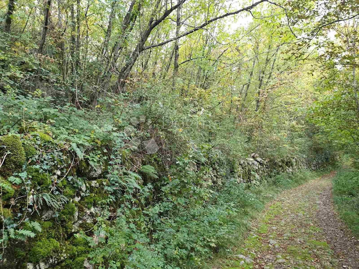 Land For sale - PRIMORSKO-GORANSKA  KASTAV 