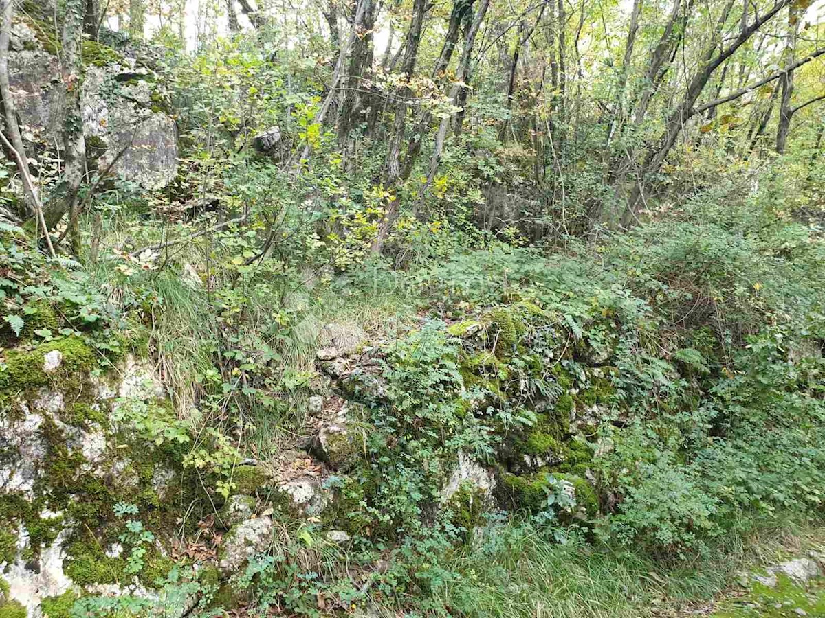 Land For sale - PRIMORSKO-GORANSKA  KASTAV 