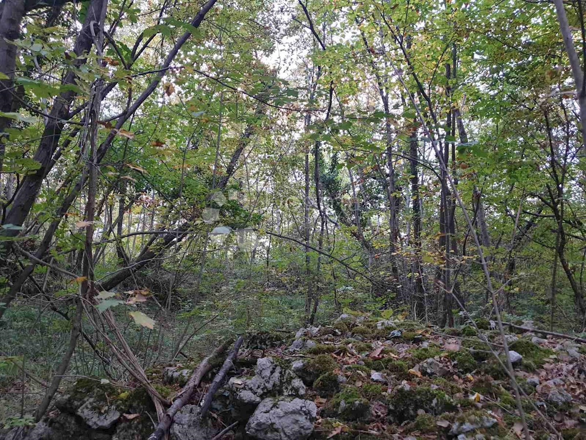 Land For sale - PRIMORSKO-GORANSKA  KASTAV 