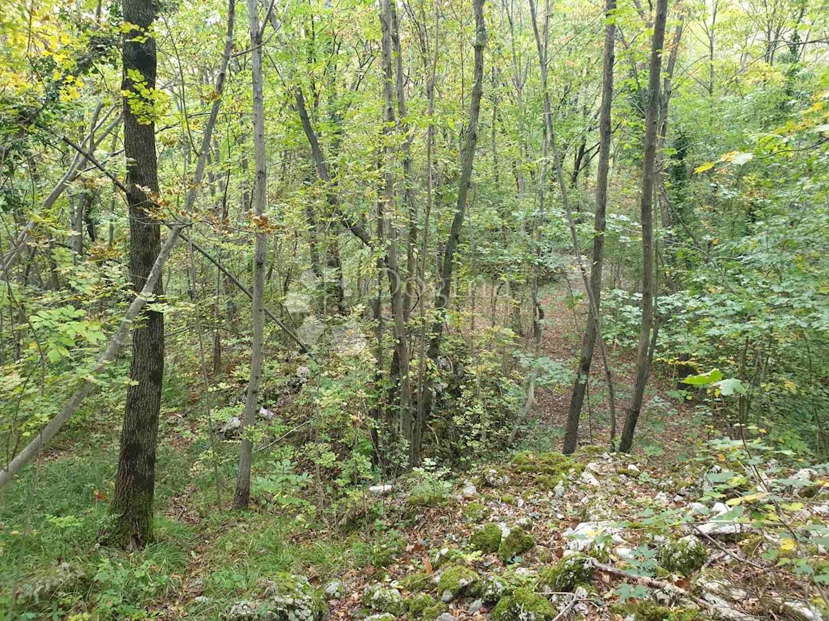 Land For sale - PRIMORSKO-GORANSKA  KASTAV 