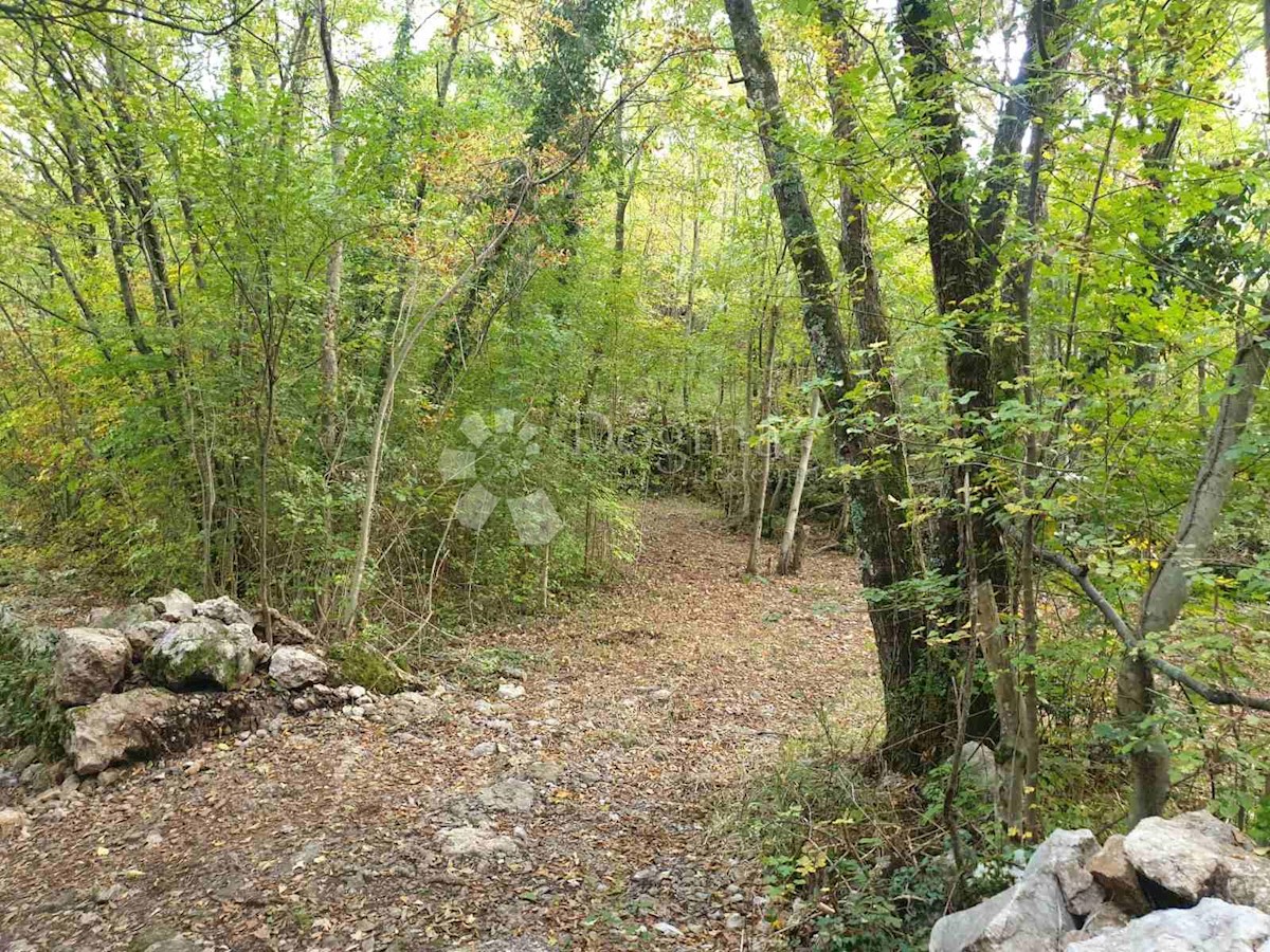 Land For sale - PRIMORSKO-GORANSKA  KASTAV 